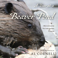 A Year at a Beaver Pond: Observations from One Little Dynamic Ecosystem