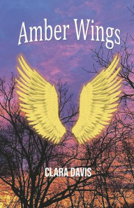 Amber Wings: Book 1