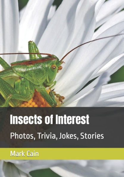Insects of Interest: Photos, Trivia, Jokes, Stories
