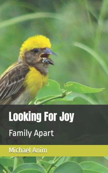 Looking For Joy: Family Apart