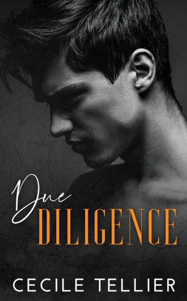 Due Diligence: Due Justice Duet book 2