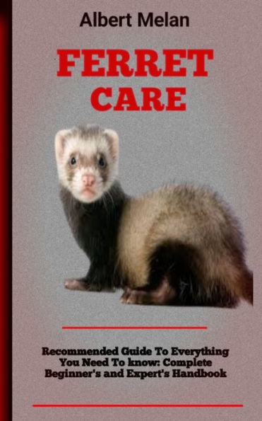 Ferret care for sales beginners