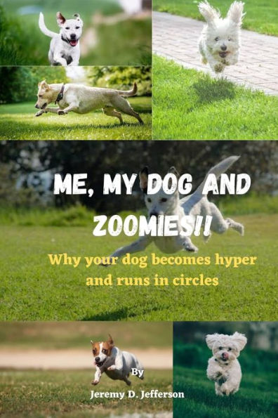 Me, My Dog and Zoomies!!: Why your dog becomes hyper and runs in circles