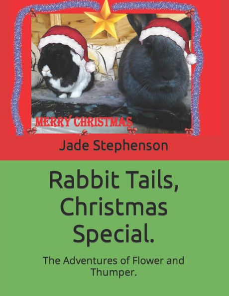 Rabbit Tails, Christmas Special.: The Adventures of Flower and Thumper.