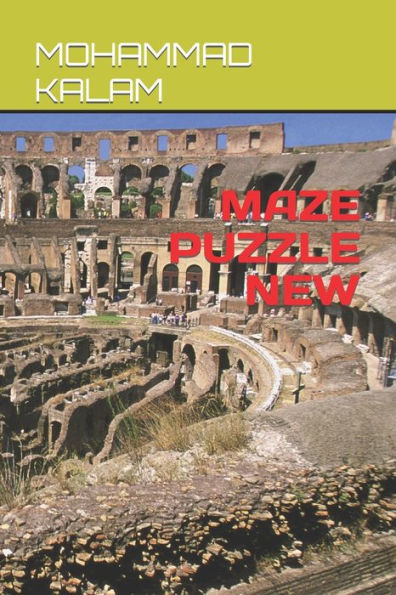 Maze Puzzle New