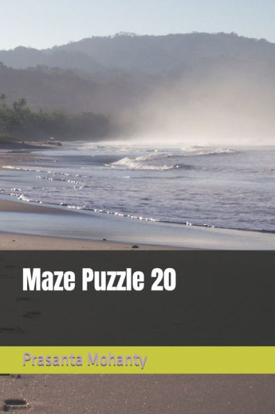 Maze Puzzle 20