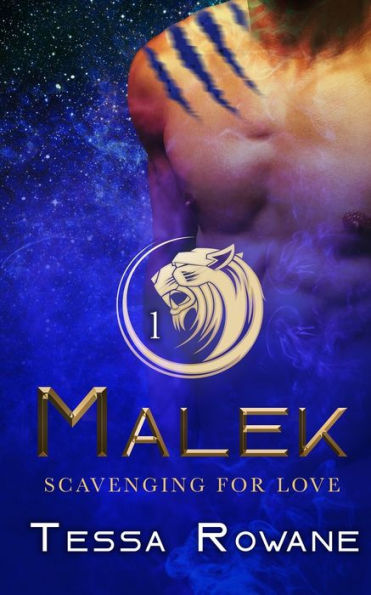 Malek: A Space Scavenger Rescue Short Story