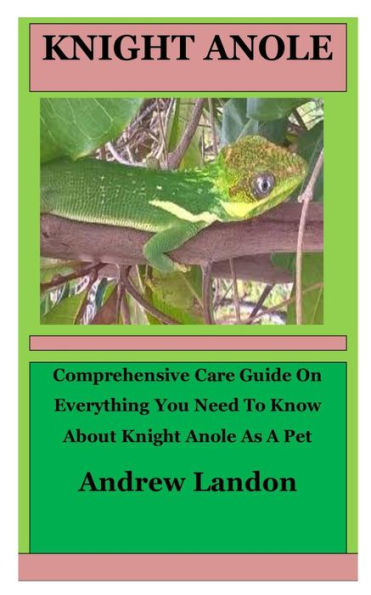Knight Anole: Comprehensive Care Guide On Everything You Need To Know About Knight Anole As A Pet