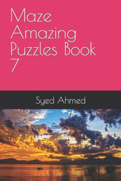 Maze Amazing Puzzles Book