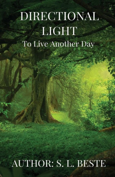 To Live Another Day: Directional Light