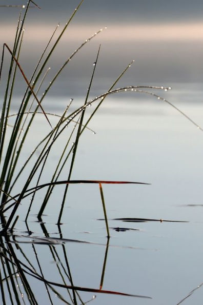 Reeds Water: Blank Nature Notebook: