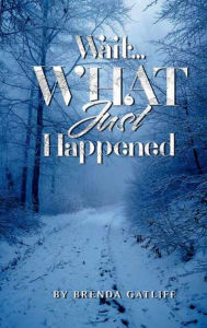 Free computer ebook downloads Wait.... What Just Happened? FB2 by Brenda Gatliff, Brenda Gatliff (English literature) 9798369225233