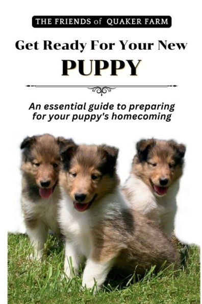 Get Ready For Your New Puppy: An Essential Guide to Preparing for Puppy Homecoming
