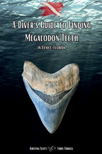 A Diver's Guide to Finding Megalodon Teeth: in Venice, FL