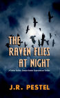 The Raven Flies at Night: A Father Gunter, Demon Hunter Supernatural Thriller