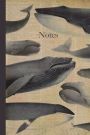 Notes. Whale: Vintage style Whale notebook. Marine animals, Natural history ocean theme journal.