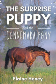 Title: The Surprise Puppy and the Connemara Pony - The Coral Cove Horses Series, Author: Elaine Heney