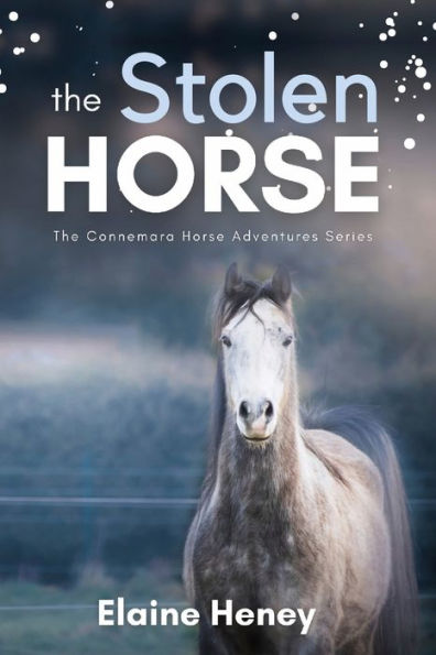 The Stolen Horse - Book 4 in the Connemara Horse Adventure Series for Kids The Perfect Gift for Children age 8-12