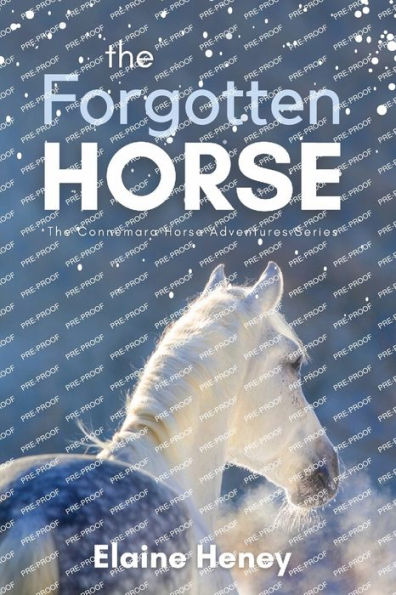 The Forgotten Horse - Book 1 in the Connemara Horse Adventure Series for Kids. The perfect gift for children age 8-12