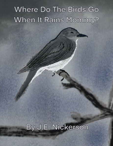 Where Do The Birds Go When It Rains Mommy?
