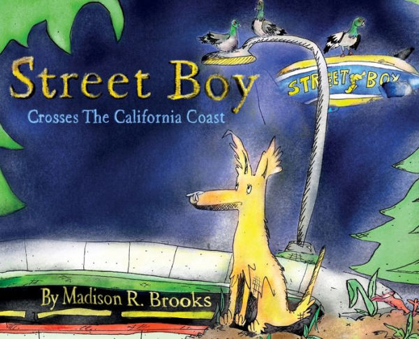 Street Boy Across the California Coast: Volume II