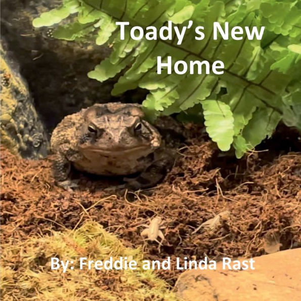 Toady's New Home: A much loved toad gets a new home!