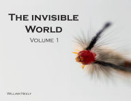 Title: The Invisible World, Author: William Neely