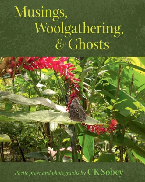 Musings, Woolgathering, & Ghosts: Poetic and Visual Offerings from My Life to Yours