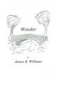 Wonder by James E. Williams: Awe