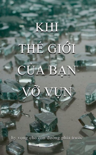 When Your World Shatters, Vietnamese Translation