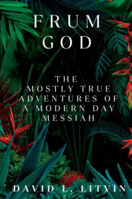 Title: Frum God: :The Mostly True Adventures of a Modern Day Messiah, Author: David Litvin