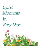 Title: Quiet Moments in Busy Days: none, Author: Patricia Johnson Laster