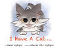 I Have a Cat....
