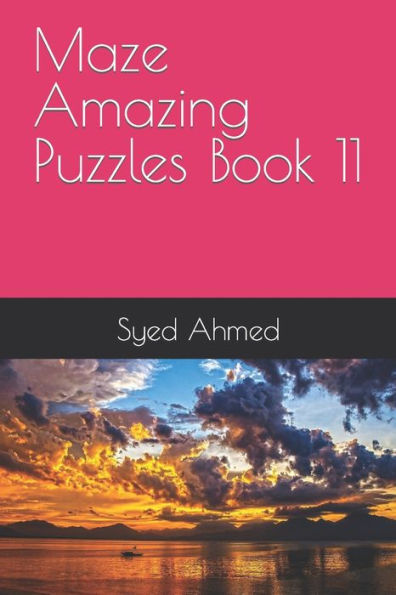 Maze Amazing Puzzles Book