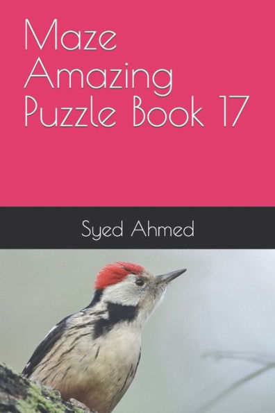 Maze Amazing Puzzle Book 17
