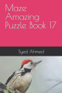 Maze Amazing Puzzle Book 17