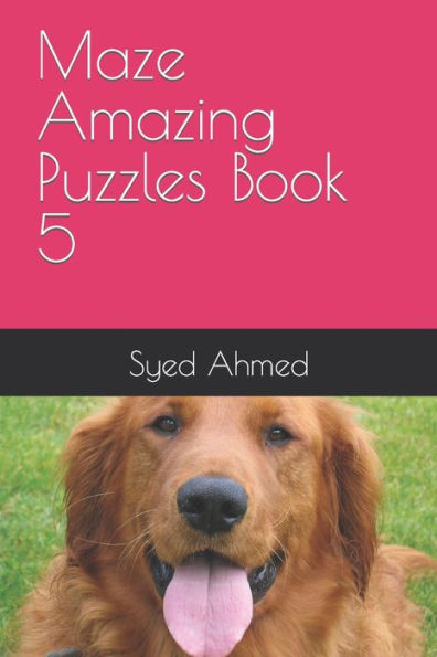Maze Amazing Puzzles Book 5