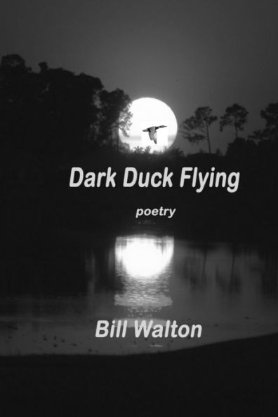 Dark Duck Flying