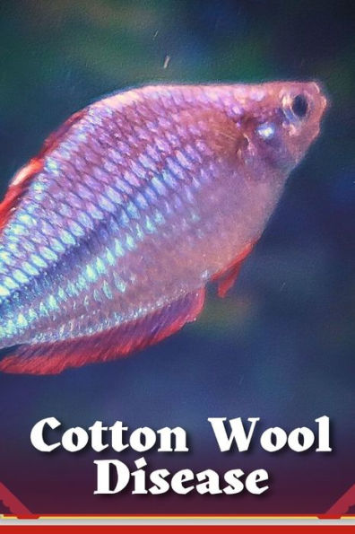 COTTON WOOL DISEASE: CAUSES AND TREATMENT IN AQUARIUM FISH by Jason ...