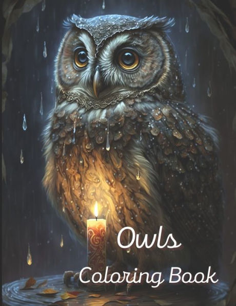 Owls Coloring Book: A painting fun for children and adults. Book Cover