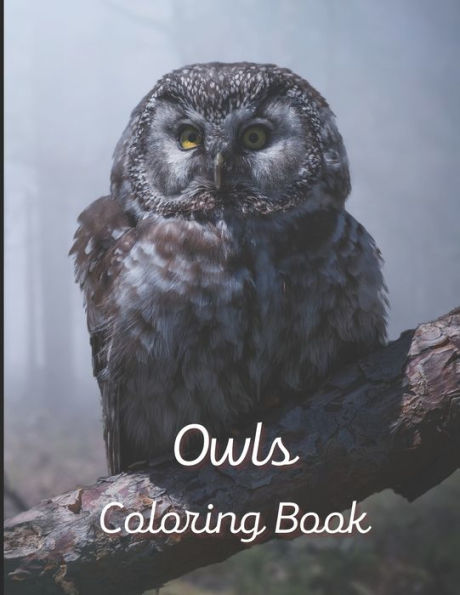 Owl Coloring Book: A painting fun for children and adults. Book Cover 3