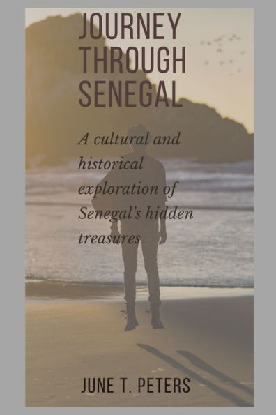 Journey Through Senegal: Cultural and Historical Exploration of Senegal's Hidden Treasures