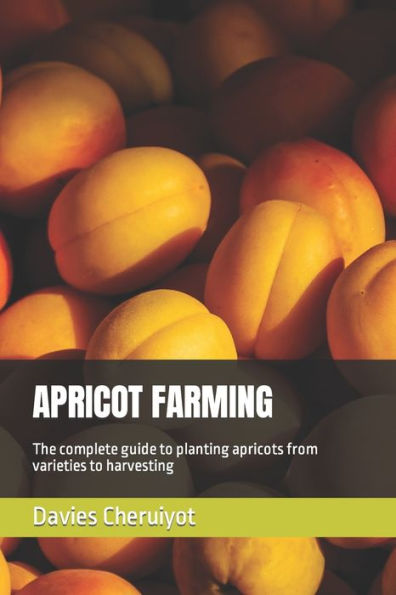 APRICOT FARMING: The complete guide to planting apricots from varieties to harvesting