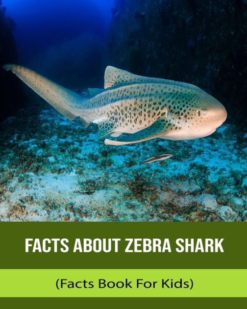 Facts About Zebra Shark (Facts Book For Kids) by Lina Raol, Paperback ...