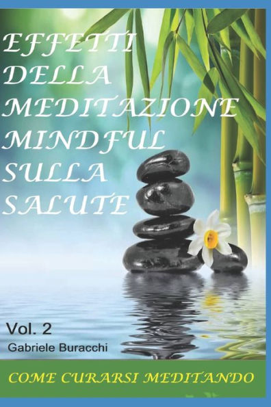 EFFETTI DELLA MEDITAZIONE MINDFUL SULLA SALUTE: COME CURARSI MEDITANDO Vol.2