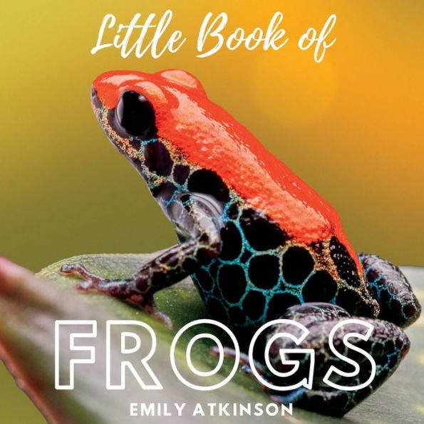 Little Book of Frogs