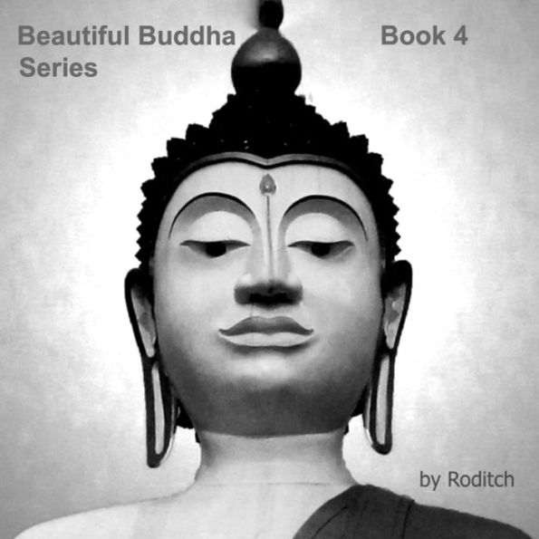 Beautiful Buddha Series: Book 4