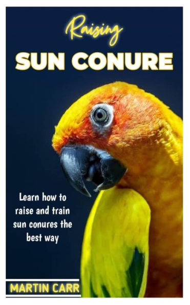 RAISING SUN CONURE: Learn how to raise and train sun Conure the best way