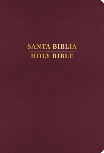 RVR 1960/KJV Biblia bilingüe letra grande, borgoña imitación piel (Edición 2024)