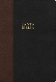 Title: Rvr 1960 Biblia Letra Supergigante, Negro Con Cafï¿½, Sï¿½mil Piel, Con ï¿½ndice: Santa Biblia, Author: B&h Espaïol Editorial